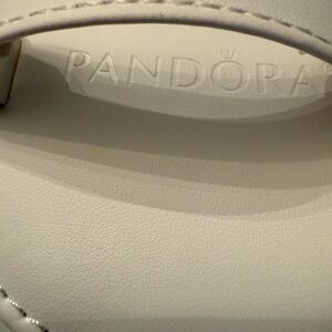 Pandora Jewerly Travel Case